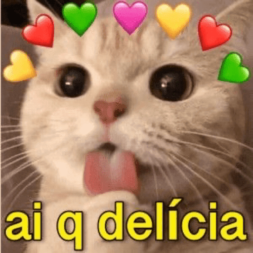 🐈‍⬛ Cat  Cats 💕7 14
