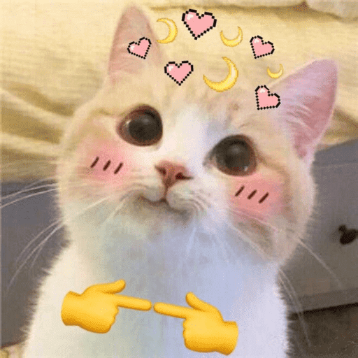 🐈‍⬛ Cat  Cats 💕7 19