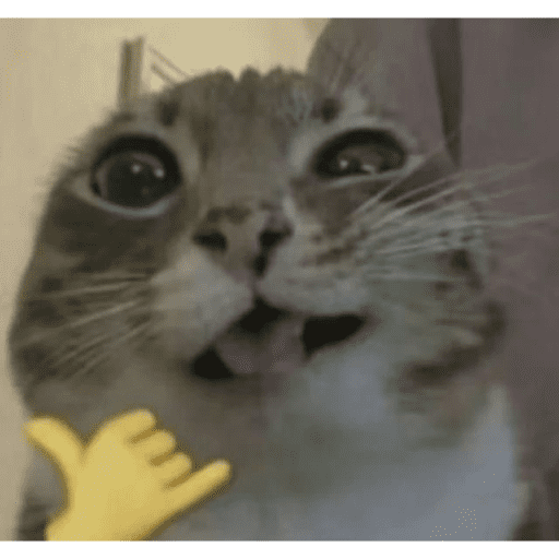 🐈‍⬛ Cat  Cats 💕7 21