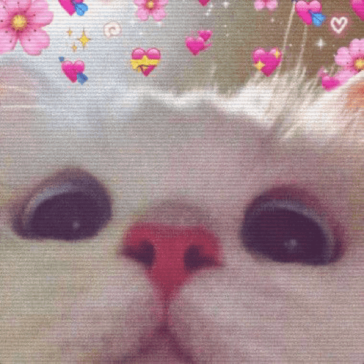 🐈‍⬛ Cat  Cats 💕7 28