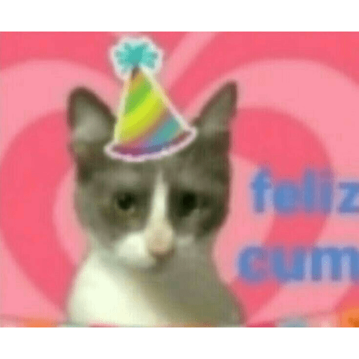 🐈‍⬛ Cat Parabéns 2 24