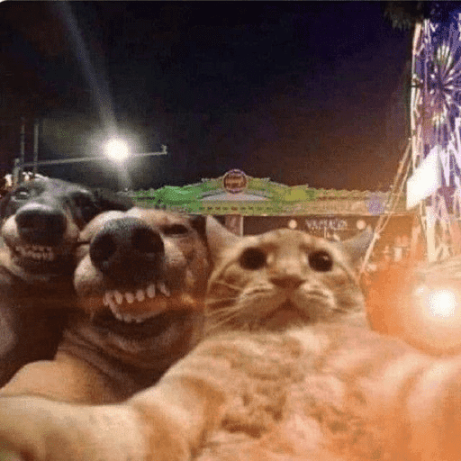 🐈‍⬛ Cat Parabéns 2 20