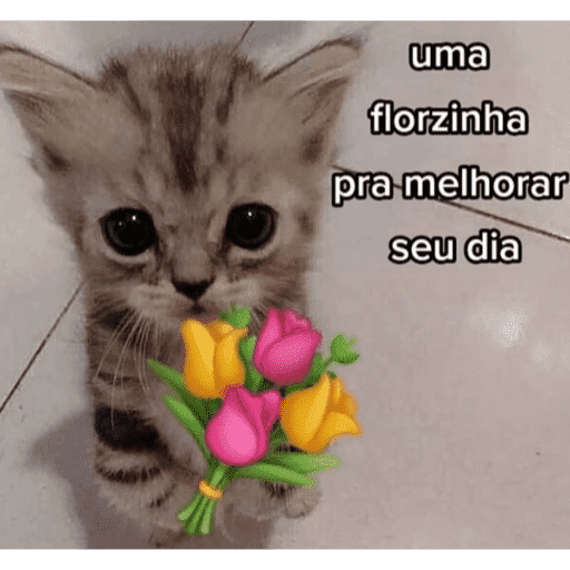 🐈‍⬛ Cat Parabéns 2 30