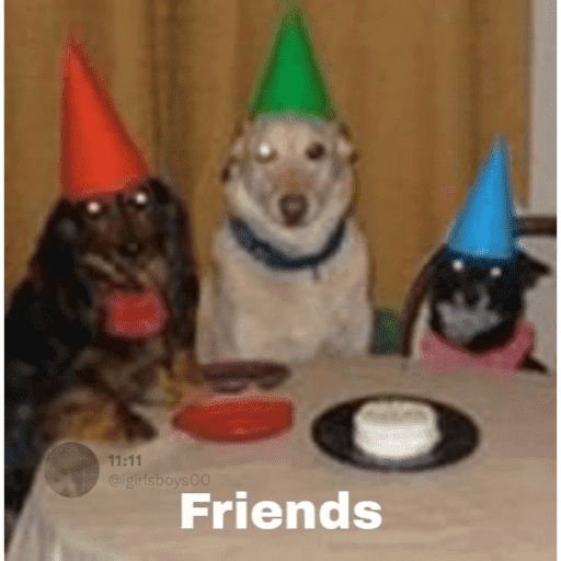 🐈‍⬛ Cat Parabéns 2 19