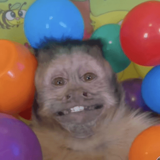 🐈‍⬛ Cat Parabéns 2 9