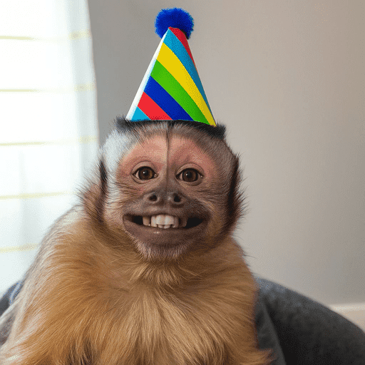 🐈‍⬛ Cat Parabéns 2 7