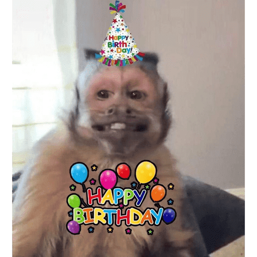 🐈‍⬛ Cat Parabéns 2 10
