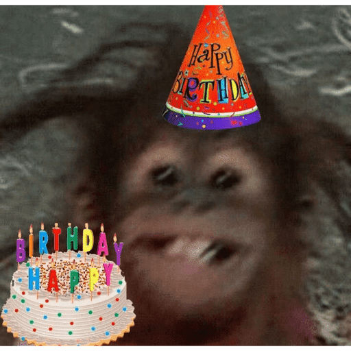 🐈‍⬛ Cat Parabéns 2 11