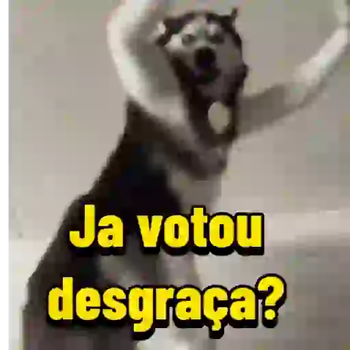 Cat 💁🏻‍♀️😺 2
