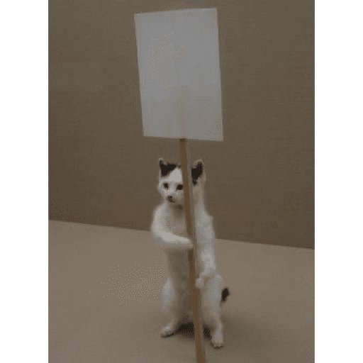 🐈‍⬛ Cat Cats 💕6 24