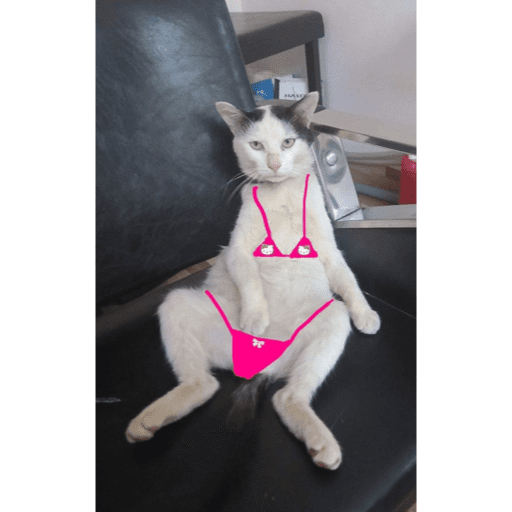 🐈‍⬛ Cat Cats 💕6 9