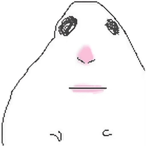 Hamster feo 4