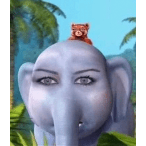 Mem 28