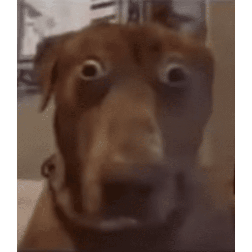 Mem 8