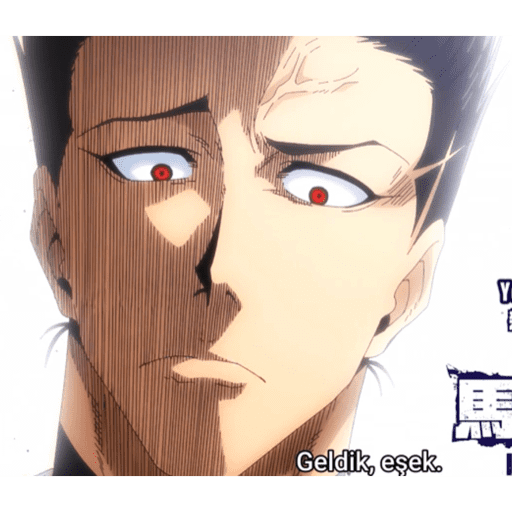 Adhesiu 23