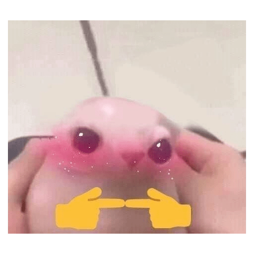 Tímido