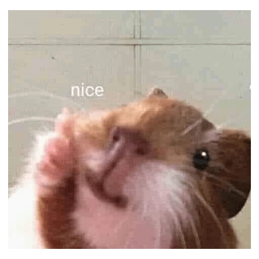 Nice