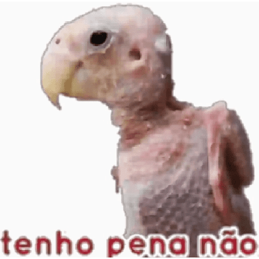Reações 11 25