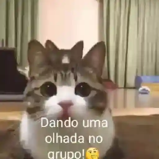 Reações animadas 2 7