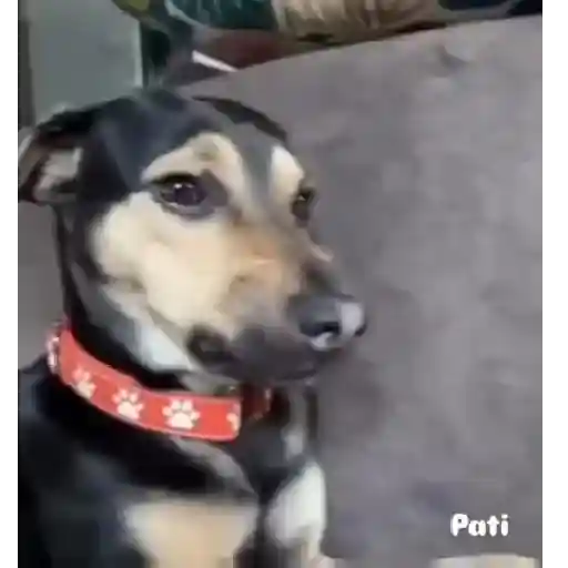 Reações animadas 2 30