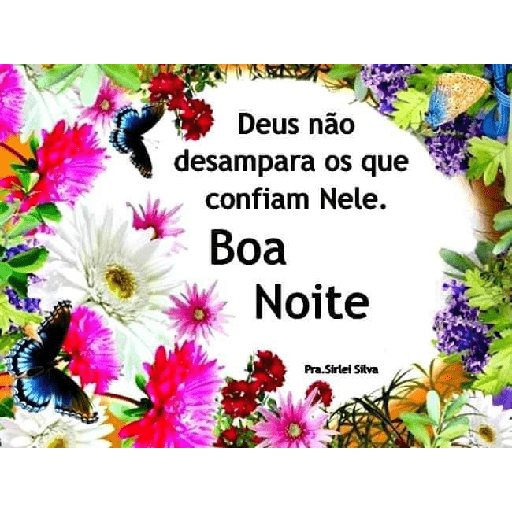 Boa noite 25 21