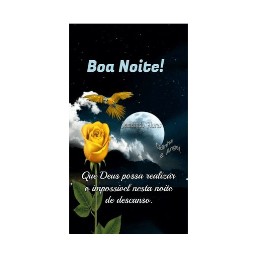 Boa noite 25 3