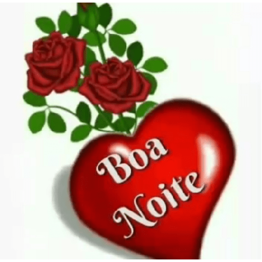Boa noite 25 11