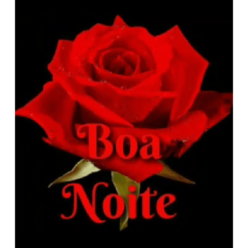 Boa noite 25 10
