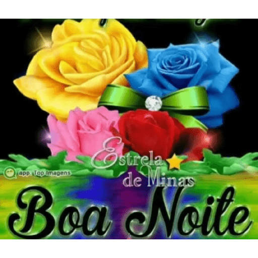 Boa noite 25 12