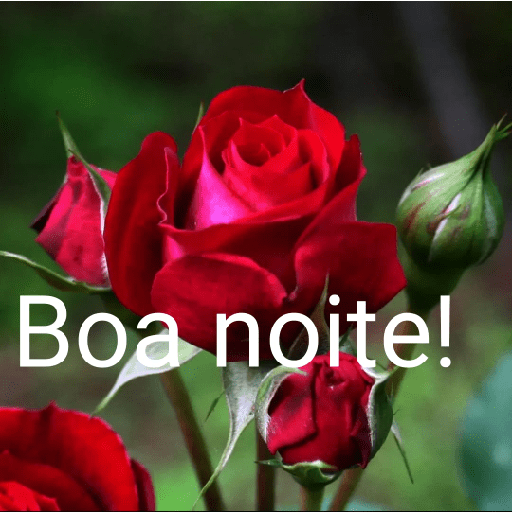 Boa noite 25 5
