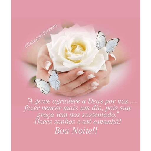 Boa noite 25 24