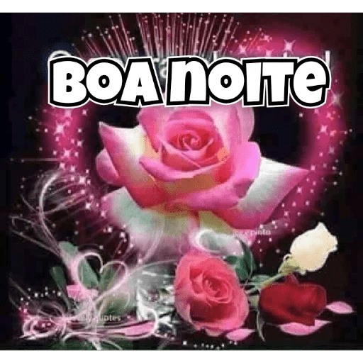 Boa noite 88 1