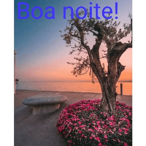 Boa noite 88 13