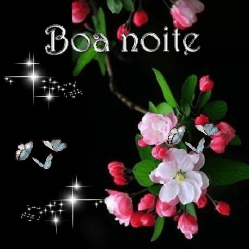 Boa noite 88 21