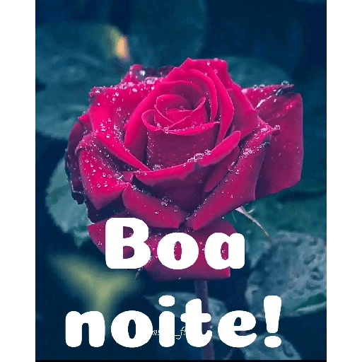 Boa noite 88 26