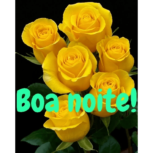 Boa noite 88 27