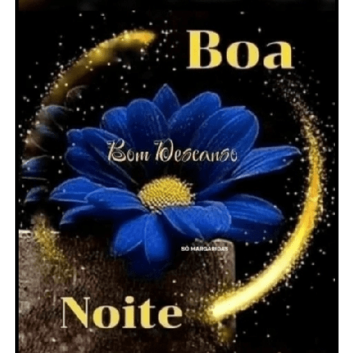 Boa noite 88 28