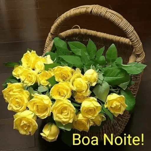 Boa noite 88 30
