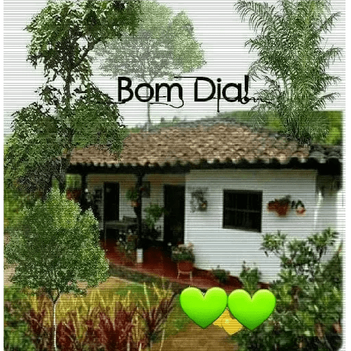 Bom dia 66