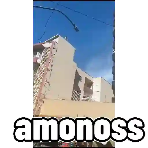 Animados 4