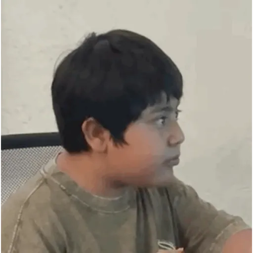 Animados 12