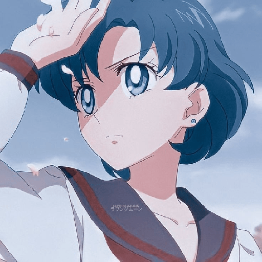 Sailor mercury 6
