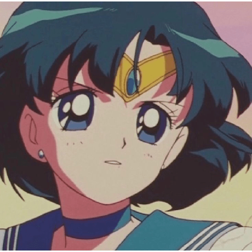 Sailor mercury 14