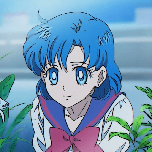Sailor mercury 19