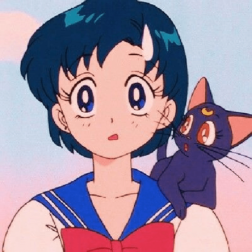 Sailor mercury 16
