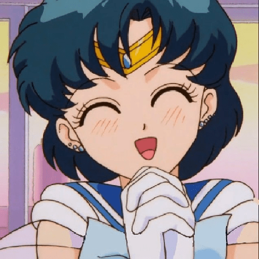 Sailor mercury 17