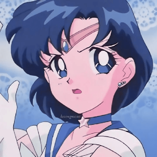 Sailor mercury 13