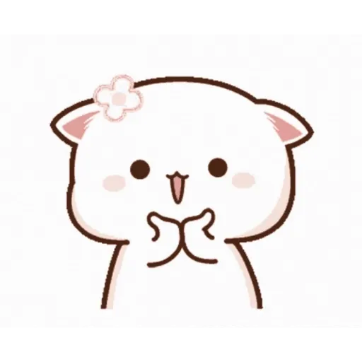 Mimi 15