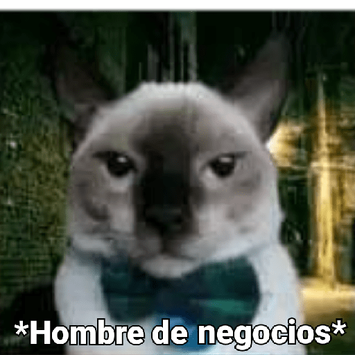 MEMES CUTE😊😆 24