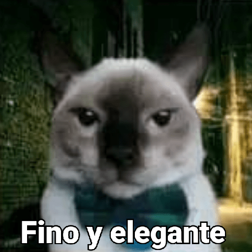 MEMES CUTE😊😆 23